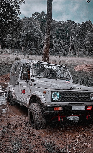 仅加深了人 仅加深了人