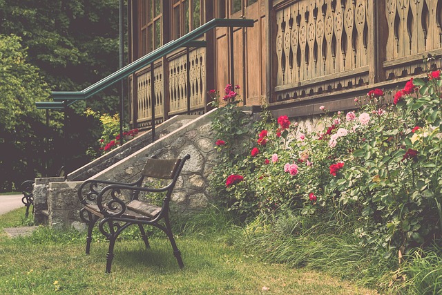 作战的能力 作战的能力