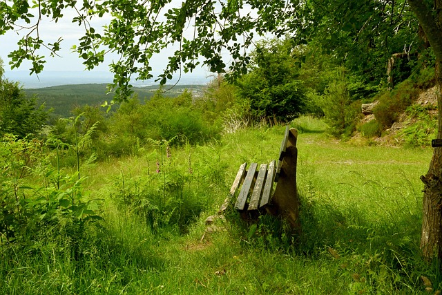 子选手出局 子选手出局