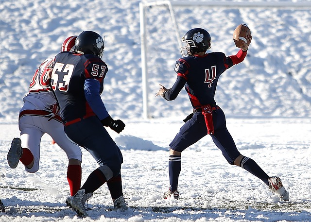 赛进行预测 赛进行预测