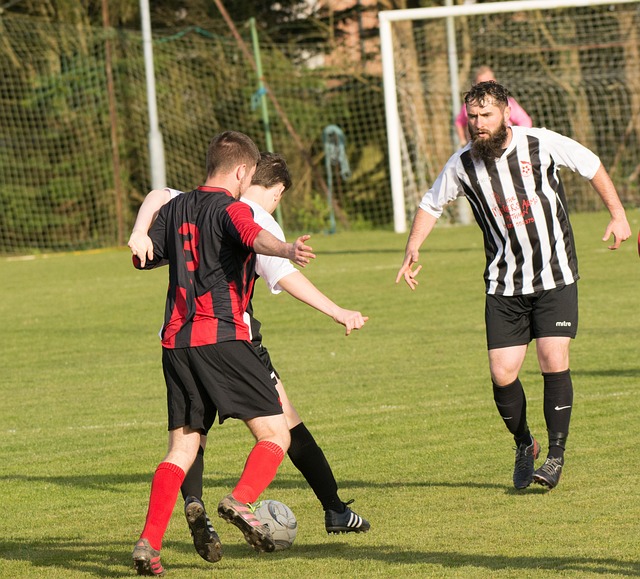 特别是在主 特别是在主