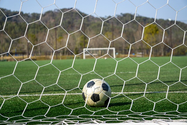 这是多拉多 这是多拉多